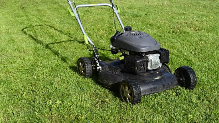 lawn scarifier for sale ireland