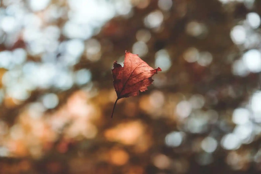 how to remain focused and motivated