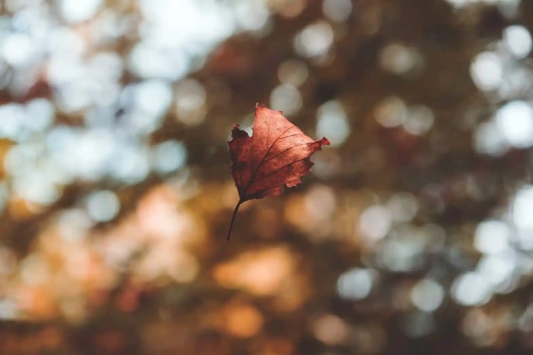 how to remain focused and motivated