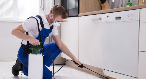 pest control shepherds hut