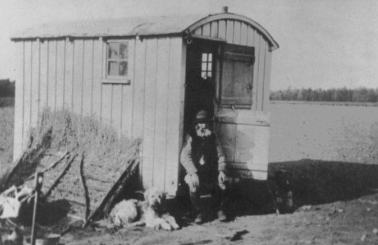 black down shepherds huts