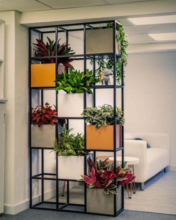 apartment planter, divider or separator