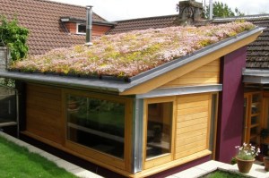green sedum roofs ireland
