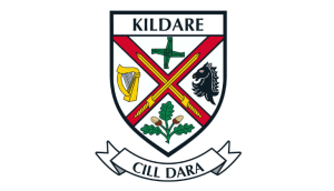 kildare houses for sale
