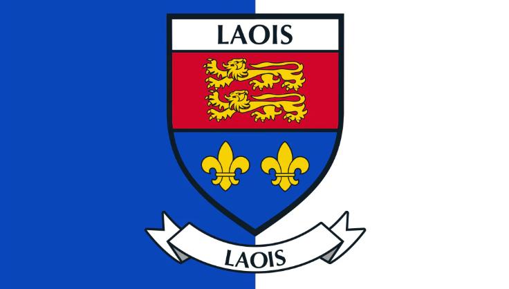 Laois County Council Planning Permission FAQs - My Little Home Ireland ...