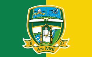 meath county houses for sale