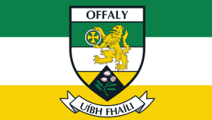 offaly houses for sale
