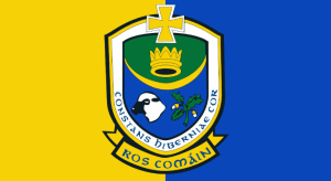 roscommon houses for sale